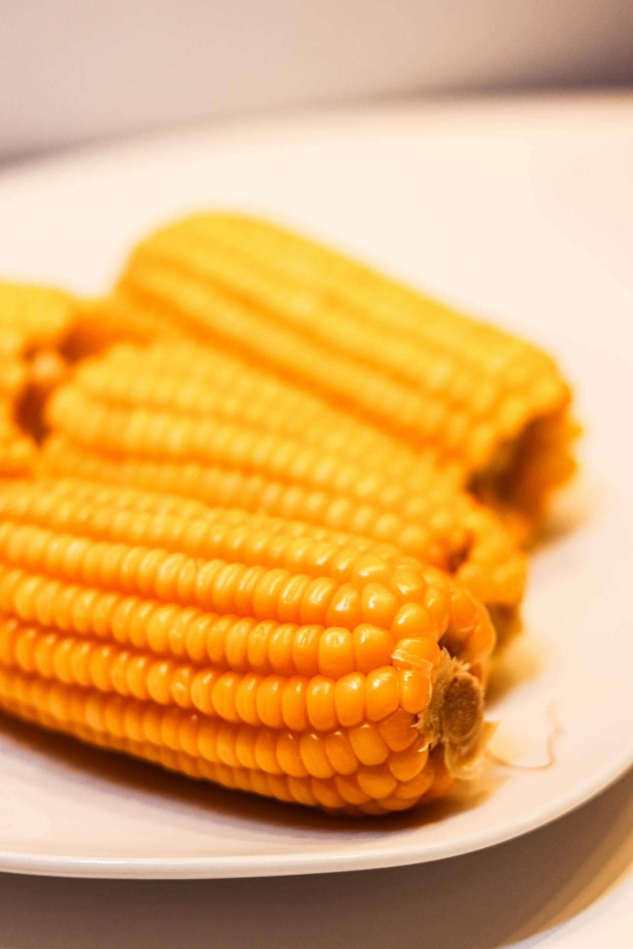 為什么煮玉米時，甜玉米比糯玉米熟得快？惠州食材配送中心為您科普