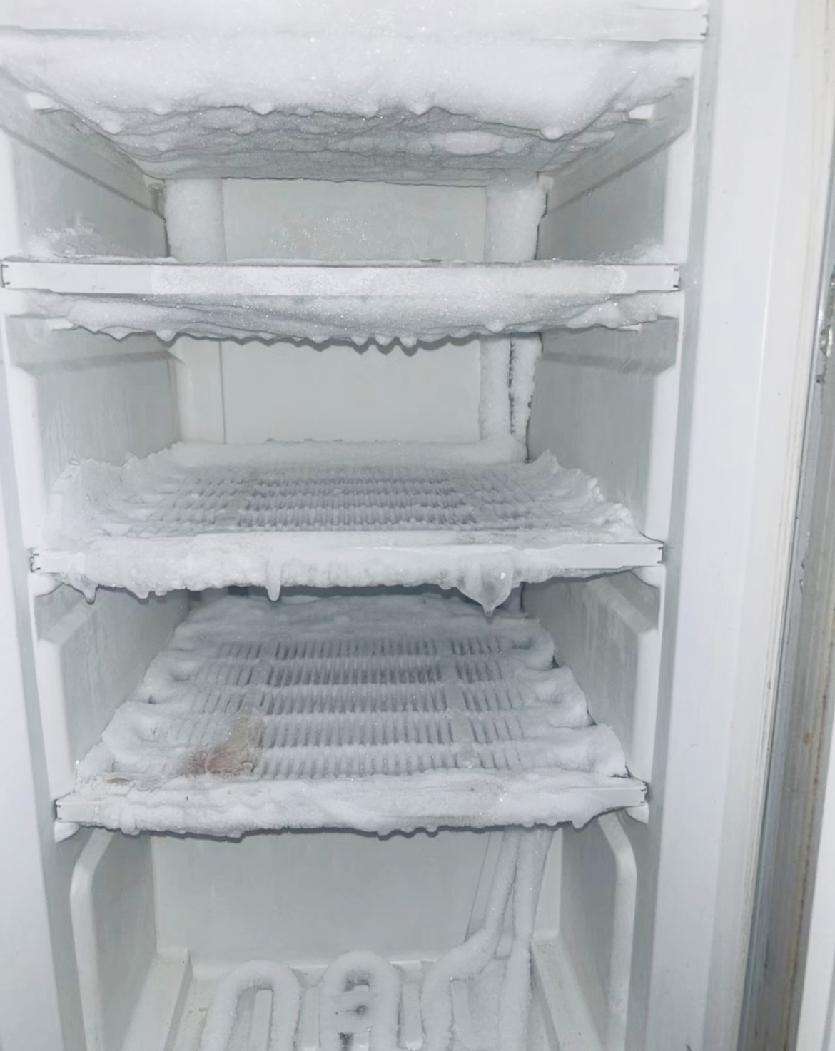1769753146792007.jpeg 12.jpeg