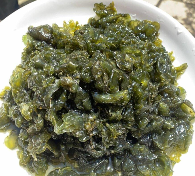 地皮菜：雨后才有的特產，吃的是山野的饋贈